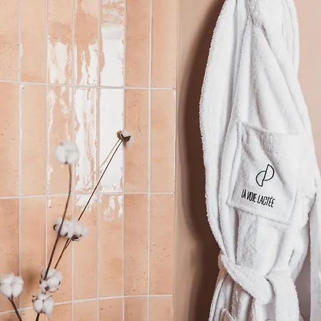 La Voie Lactée 4* La Mongie